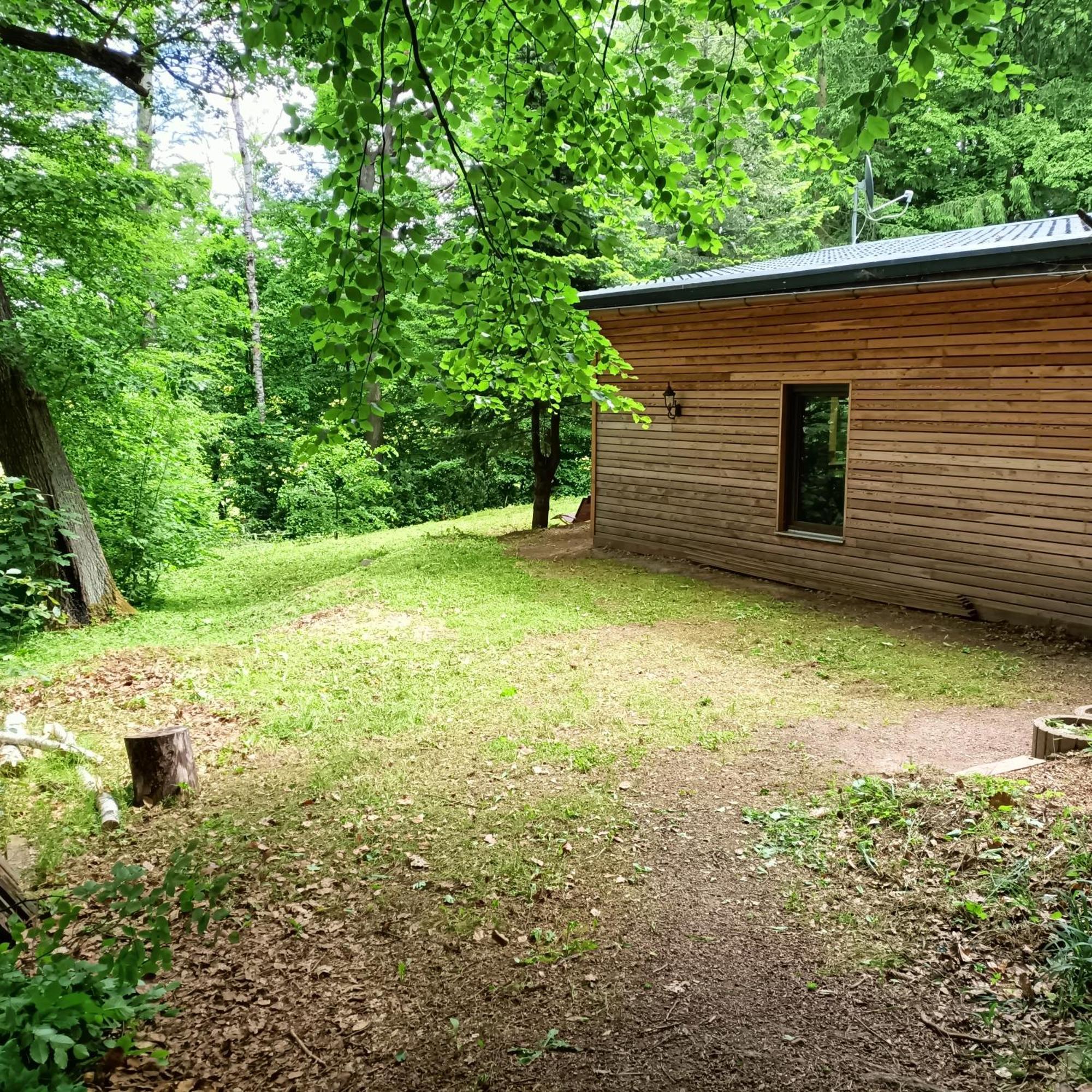 Villa Waldhaus Hempe Tabarz Exterior foto